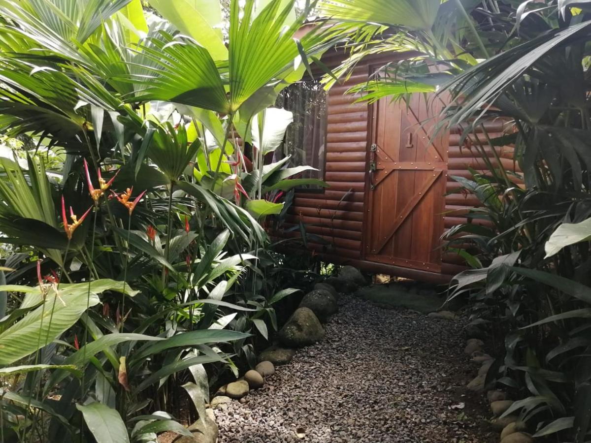 Arenal Rustic Lodge Alajuela Exteriör bild