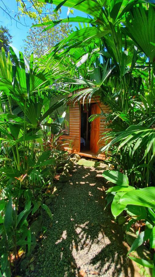 Arenal Rustic Lodge Alajuela Exteriör bild