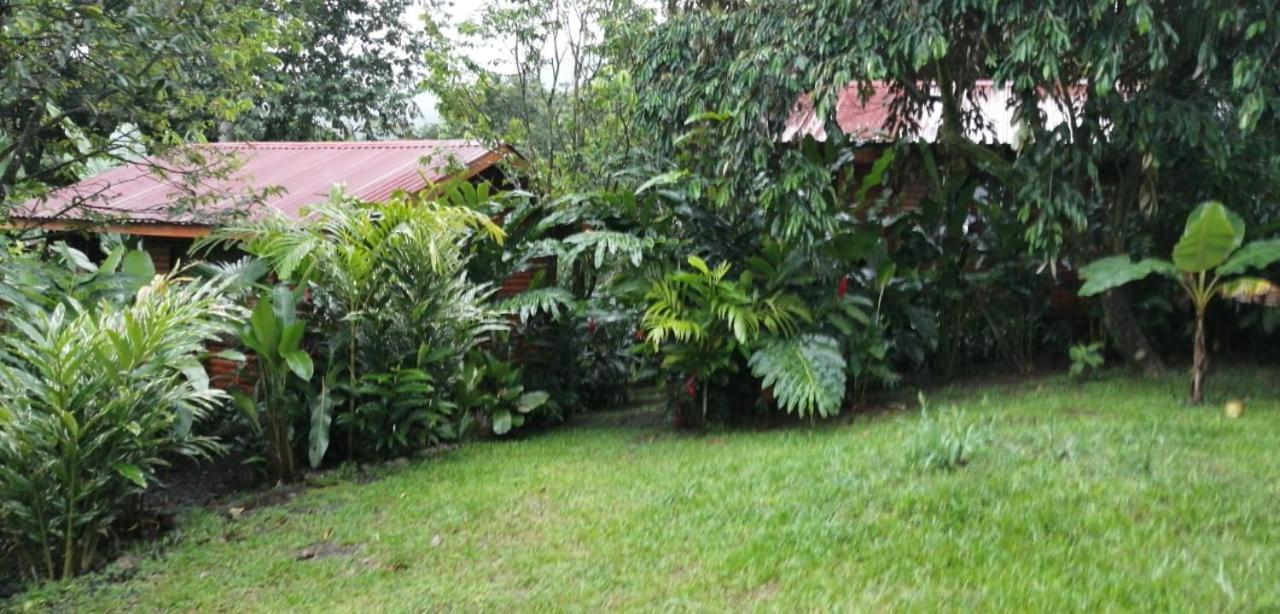 Arenal Rustic Lodge Alajuela Exteriör bild