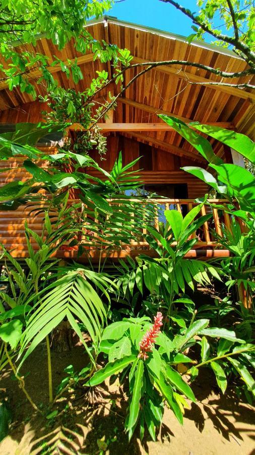 Arenal Rustic Lodge Alajuela Exteriör bild
