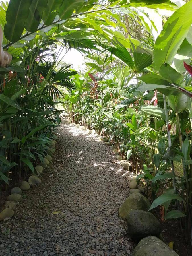 Arenal Rustic Lodge Alajuela Exteriör bild